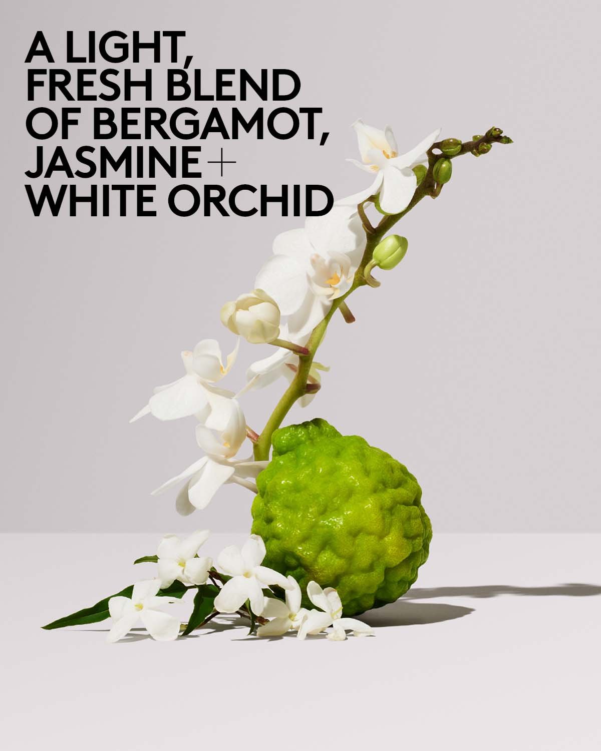 Butta Drop Hydrating Body Milk — Fenty Fresh - 图片 7